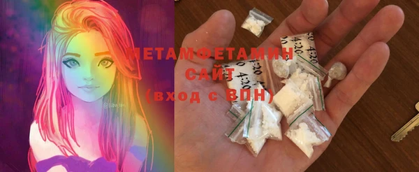 шишки Сосновый Бор