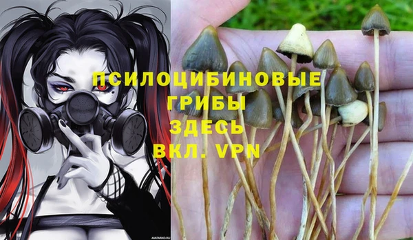 ALPHA PVP Баксан