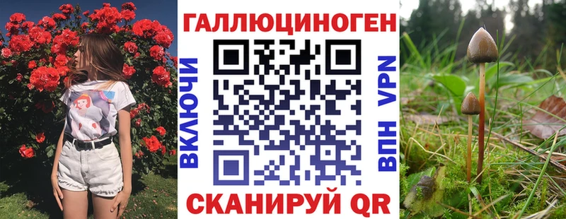 Галлюциногенные грибы Psilocybine cubensis  Губаха 