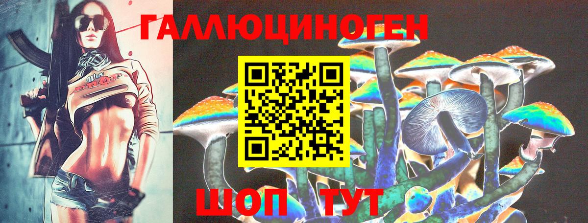 Галлюциногенные грибы Psilocybine cubensis  Вход с VPN  Губаха 